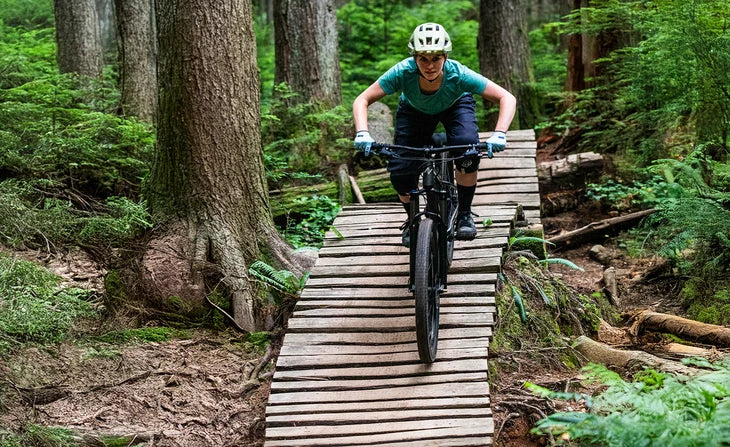 Norco Charger 1