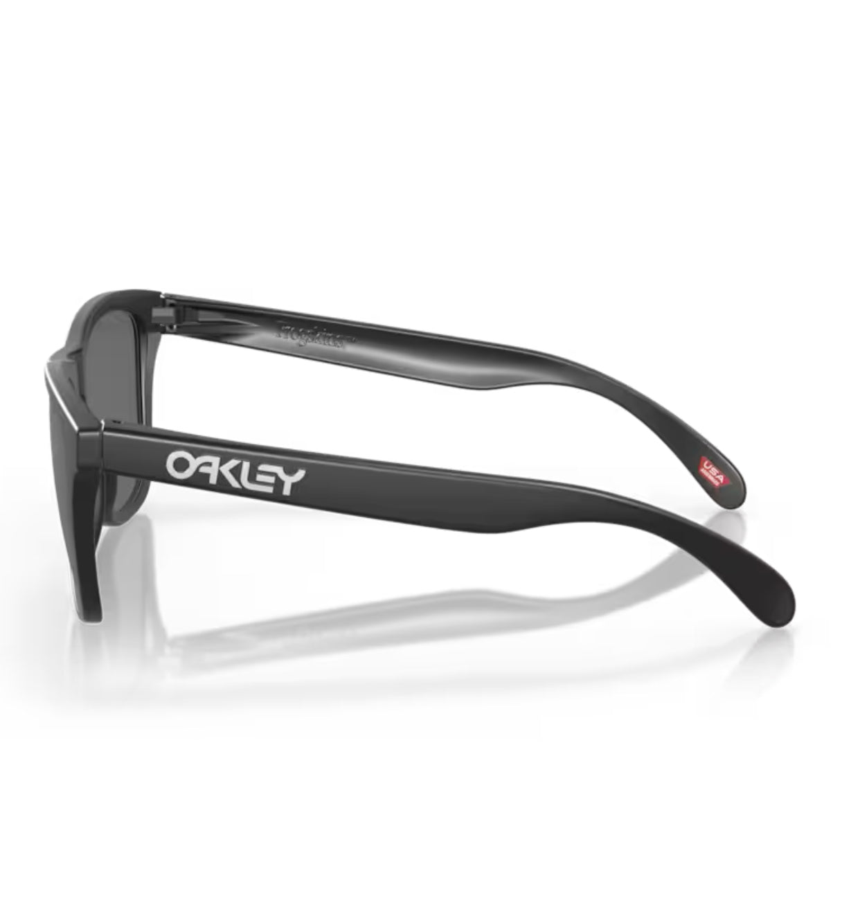 Oakley Frogskin