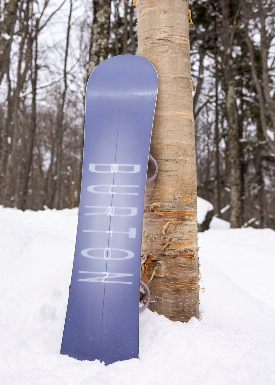 Burton Stylus Snowboard