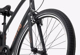 Electra Townie 7D so