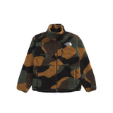 The North Face Denali X Jacket