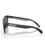 Oakley Frogskin