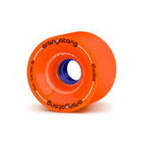 Orangatang 4 Presidents