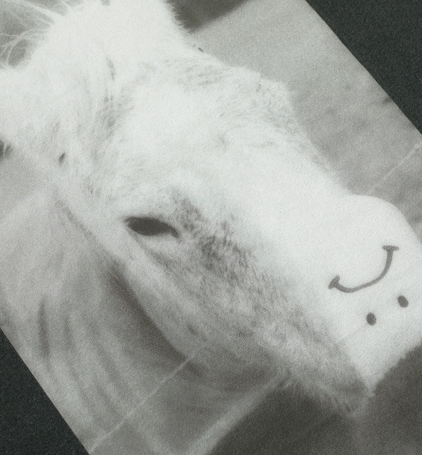 Polar Horse Hand Tee