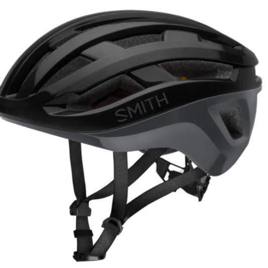 Smith Persist 2 MIPS Helmet