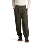 The North Face Nylon Easy Pant Taupe Green