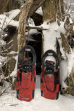 Tubbs Wayfinder Snowshoe